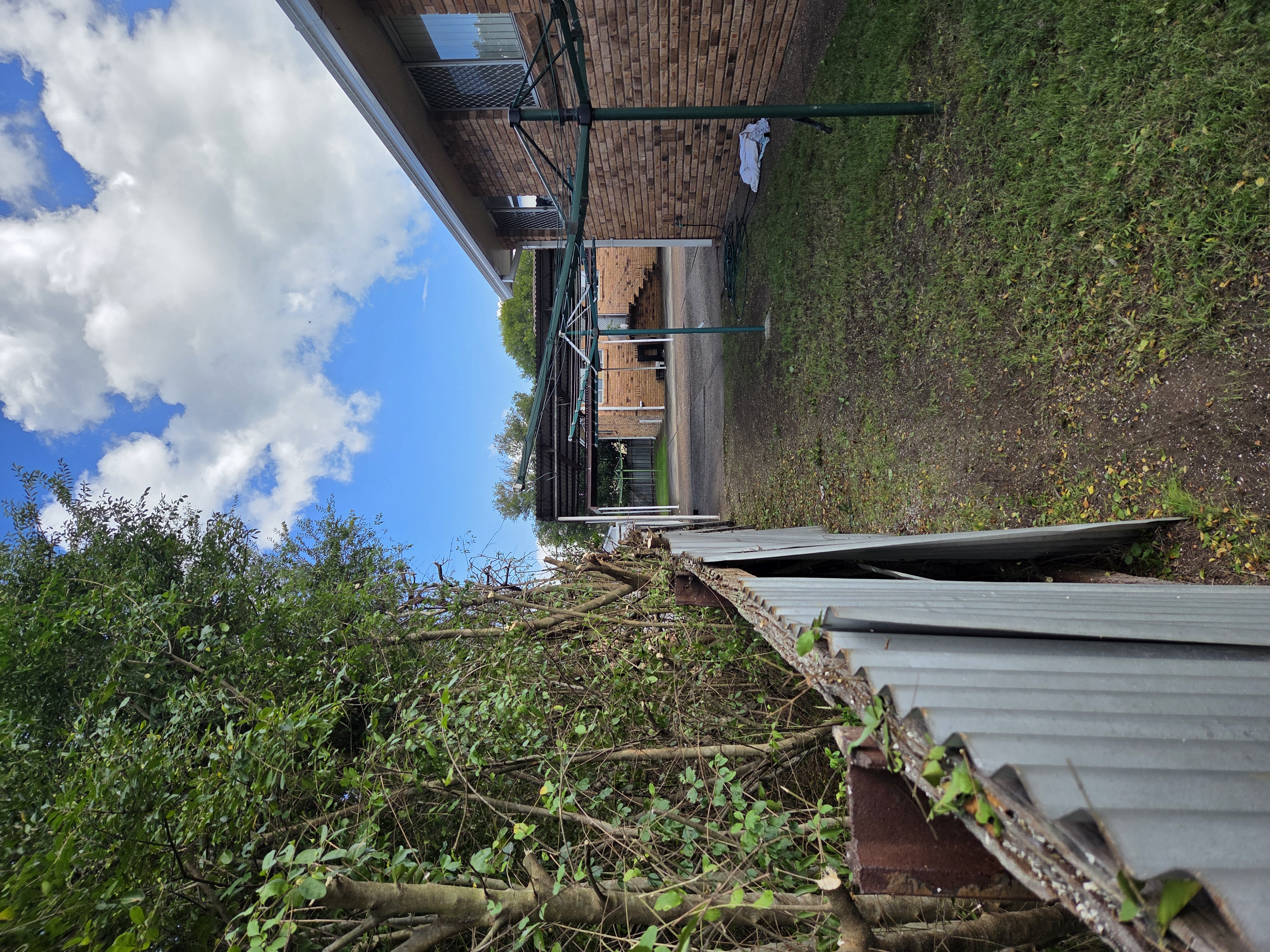 Tree trimming and green waste clean-up at an Australian property