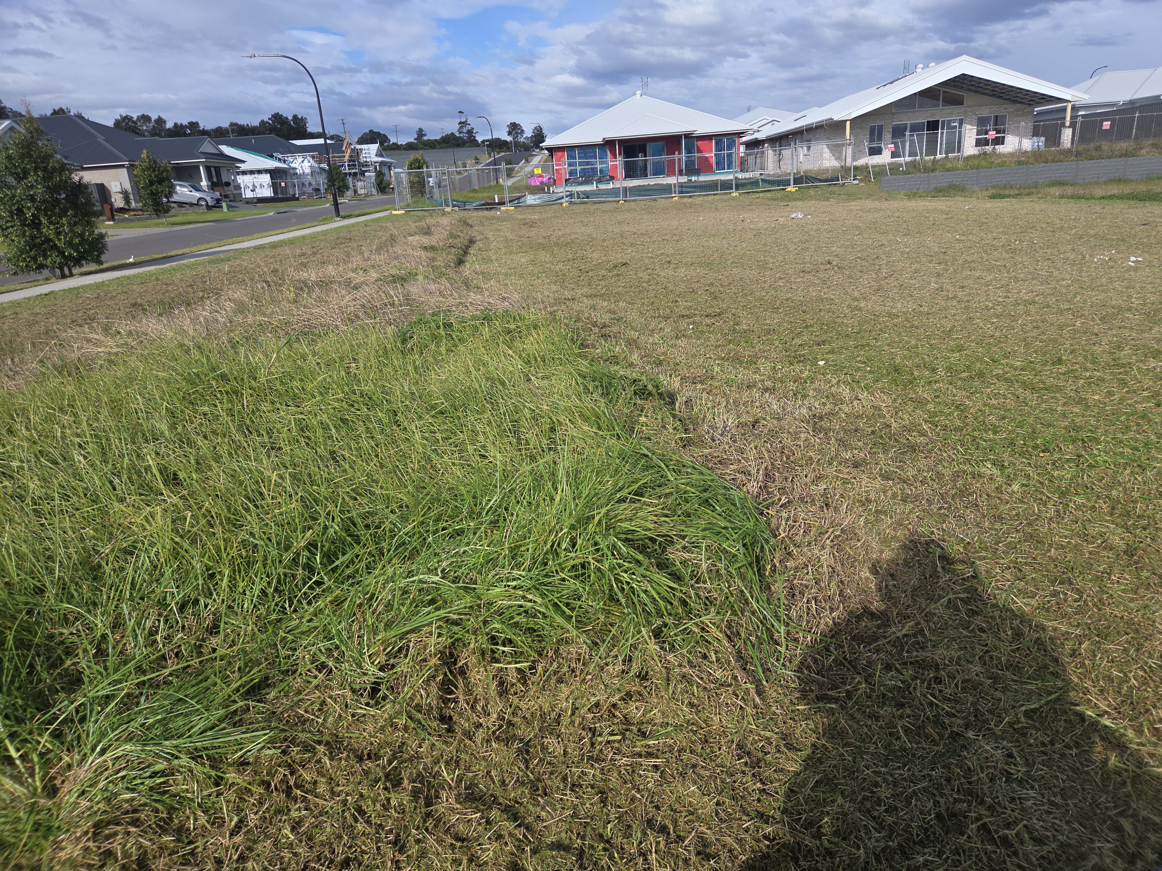 Overgrown vacant lot before mowing in a new Hunter Valley housing estate