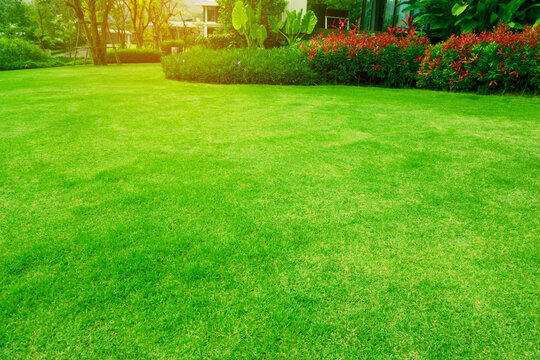 Lush green freshly cut lawn with garden beds in Australia